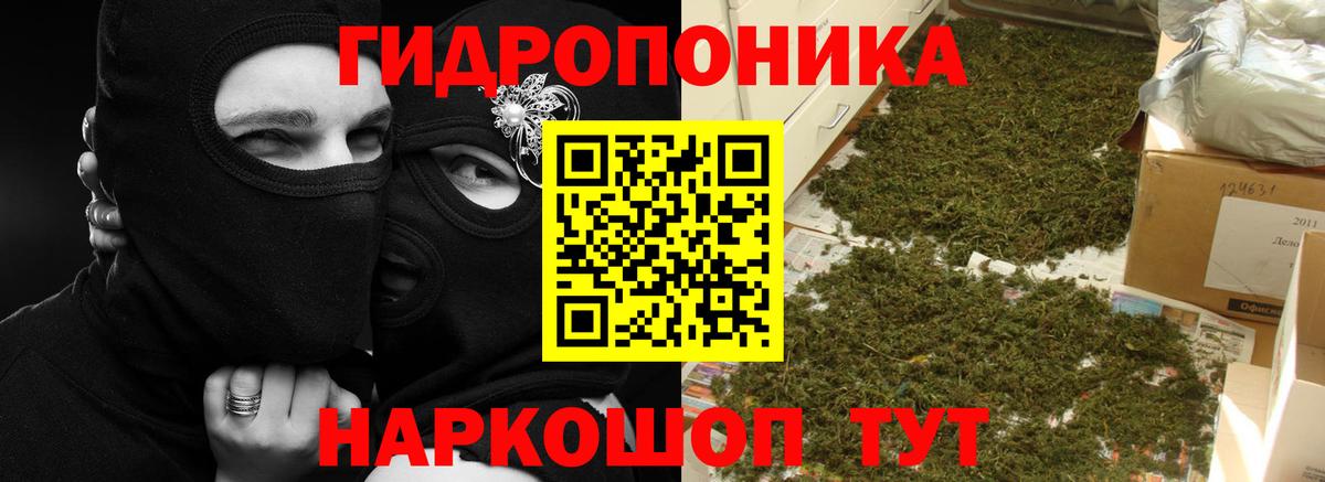 Конопля марихуана Славянск-на-Кубани